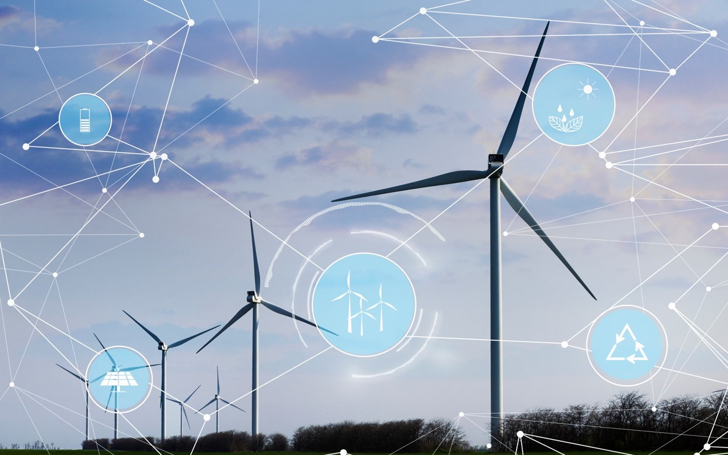 Shutterstock 1511690804 (1)